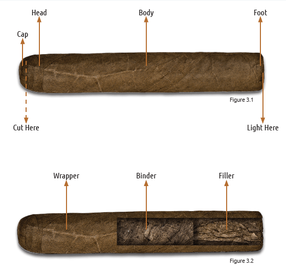 Our Beginner's Guide to Cigars Best Cigar Prices