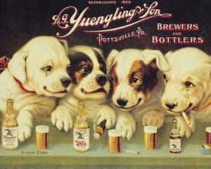 Yuengling-Dogs1