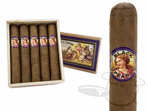 la perla habana morado cigars at best cigar prices