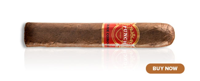 punch rare corojo cigars at best cigar prices